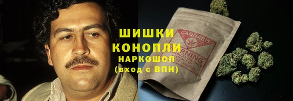 прущий лед Абаза