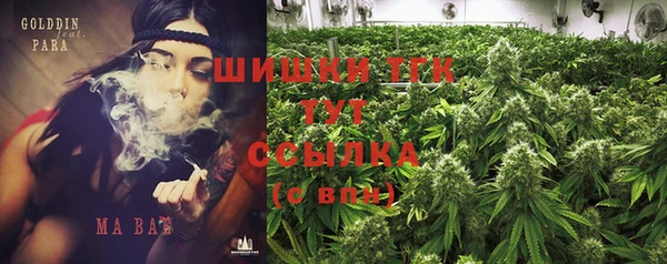 прущий лед Абаза