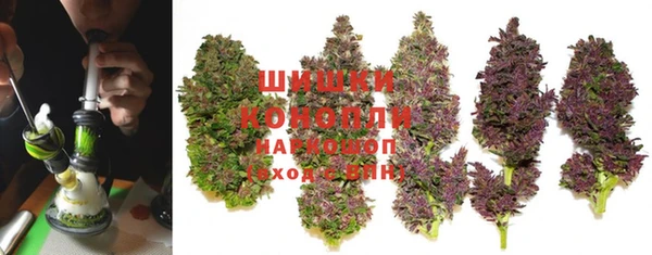 индика Абдулино